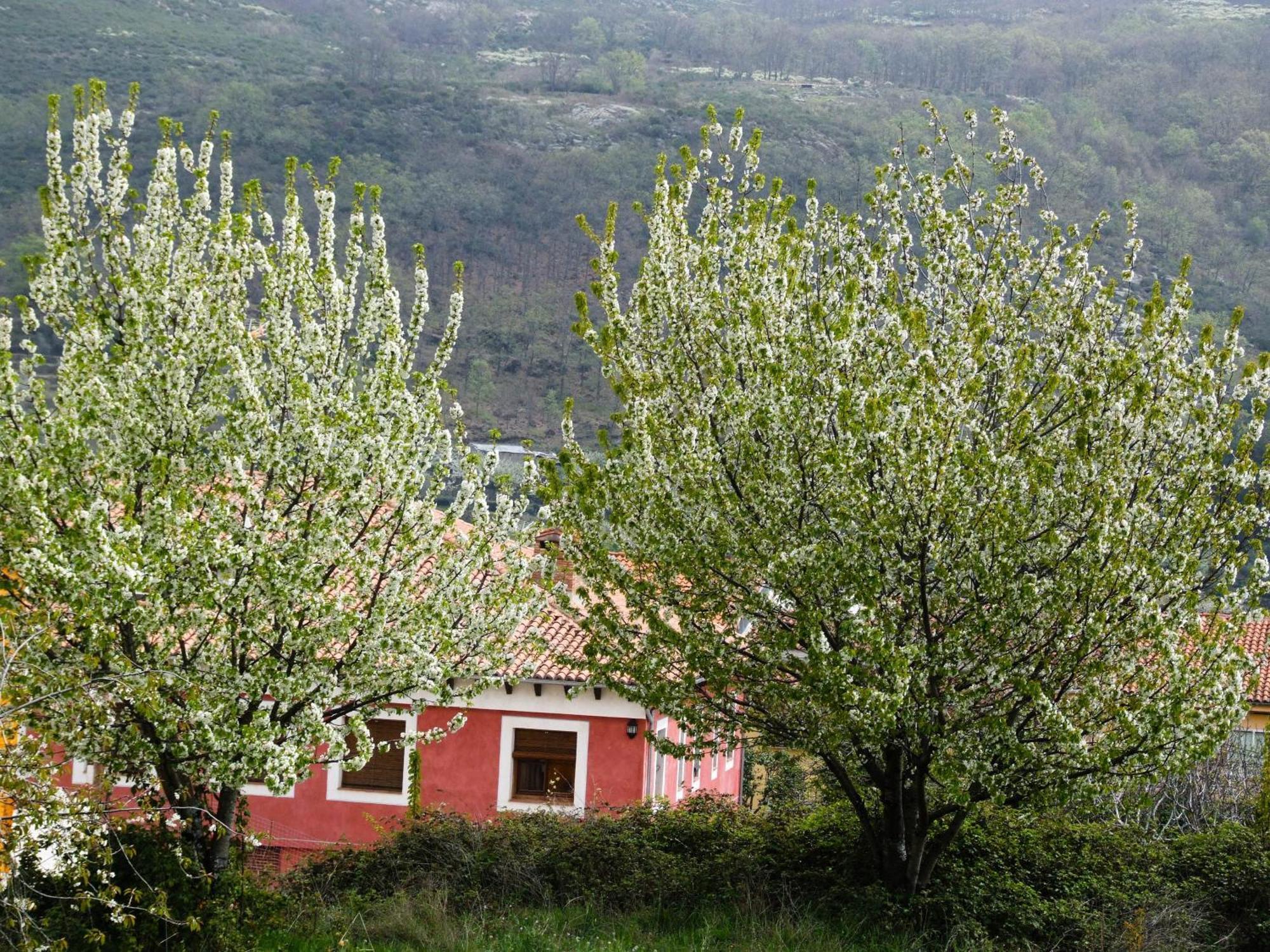 Hotel Rural Carlos I Garganta la Olla Exteriör bild